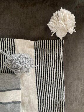 New Set Of 2 Tassel Accent Throw Pillow Cover - Black & White